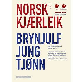 Norsk kjærleik dikt