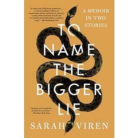 To Name the Bigger Lie A Memoir in Two Stories