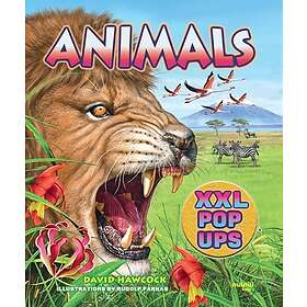 Animals XXL popups