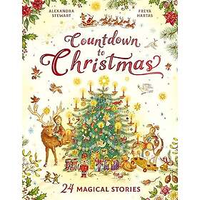 Countdown to Christmas 24 Magical Stories