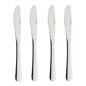 Aida Atelier kniv 4-pack polerad