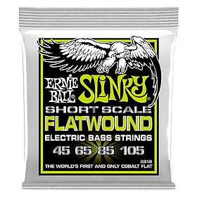 Ernie Ball EB-2818 FLATW-SHORT-SCALE REG