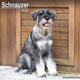 Schnauzer (Euro) Calendar 2025 Square Dog Breed Wall Calendar 16 Month