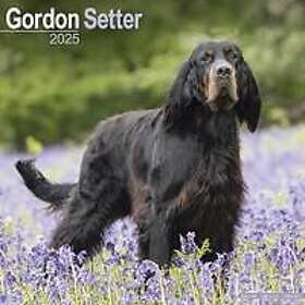 Gordon Setter Calendar 2025 Square Dog Breed Wall Calendar 16 Month