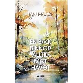 En bäck rinner alltid mot havet