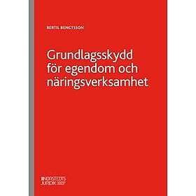 Grundlagsskydd för egendom och näringsverksamhet