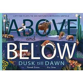 Above and Below: Dusk till Dawn