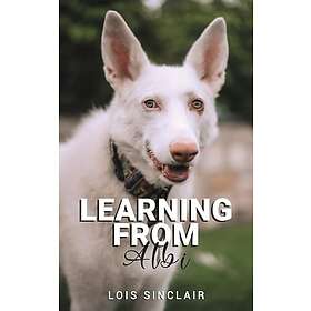 Learning from Albi (häftad, eng)