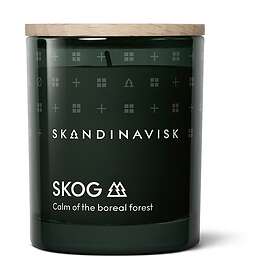 Skandinavisk SKOG doftljus Special Edition 65g