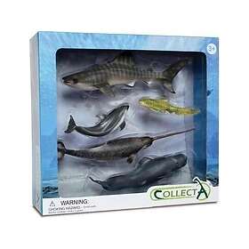 Collecta Figur 5 Marina Djur I Förpackning 89671