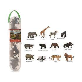 Collecta Box Of Mini Wild Animals In Tube Toy