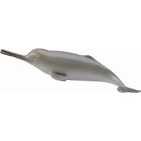 Collecta Dolphin From The Ganges River (004-88611)