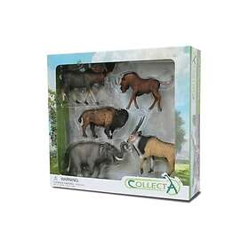 Collecta Figur 5 Vilda Djur I Förpackning 89674