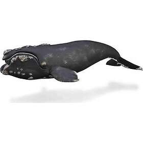 Collecta Right Whale (Xl) 88740