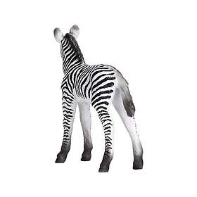 Mojo Zebra Føl