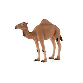 Mojo Arabisk Kamel