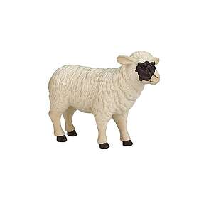 Mojo Moder Får Med Sort Hovedet