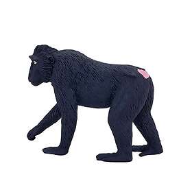 Mojo Sort Crested Macaque Abe