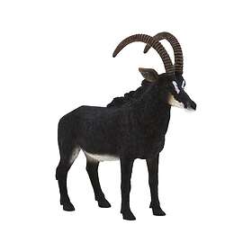 Mojo Stor Antilope