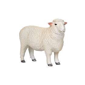 Mojo Romney Sheep (Ram)