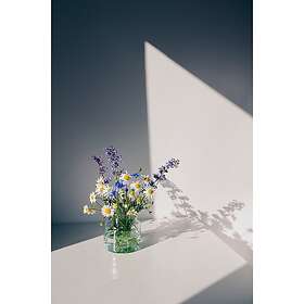 Venture Home Posters Flowers Vit 21x30