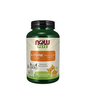 Now L-Lysine Pulver 226,8g