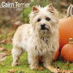 Cairn Terrier Calendar 2025 Square Dog Breed Wall Calendar 16 Month