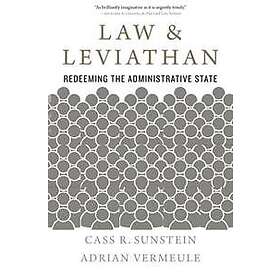 Law and Leviathan