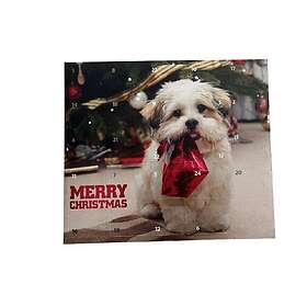 Ozami Hund Adventskalender