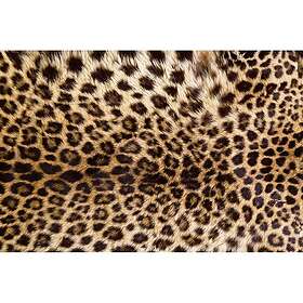 Dimex Tapet Leopard