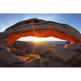 Dimex Tapet Mesa Arch