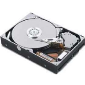 IBM 42T1491 80GB