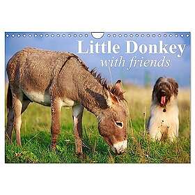 Little Donkey with Friends (Wall Calendar 2025 DIN A4 landscape), CALVENDO 12 Mo