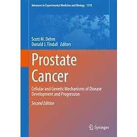 Prostate Cancer