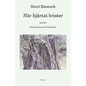 När hjärtat brister : noveller från Jerusalem och Västbanken
