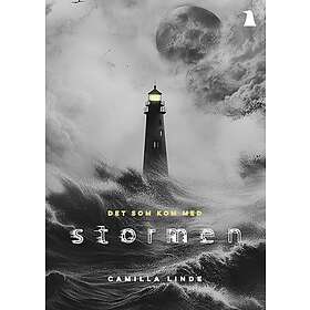 Det som kom med stormen