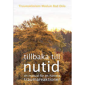 Tillbaka till nutid