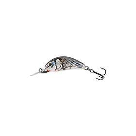 Salmo Lure Hornet 2S 2,5 cm/1,5g/0,5-1,0 m HGS