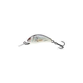 Salmo Lure Hornet 2S 2,5 cm/1,5g/0,5-1,0 m RDE