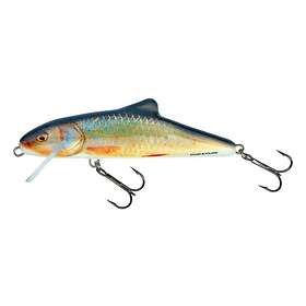 Salmo Lure Skinner 10F 10cm/13g/0,5-1,5m RR