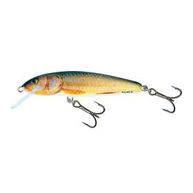 Salmo Lure Minnow 5S 5cm/5g/0,8-1,5m RR