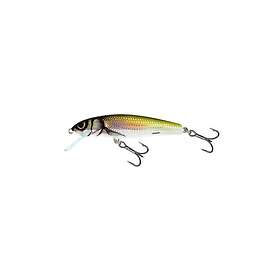 Salmo Lure Minnow 7F 7cm/6g/1,0-1,5m HBL