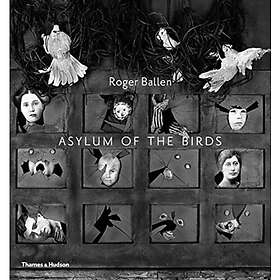 Asylum of the Birds (häftad, eng)