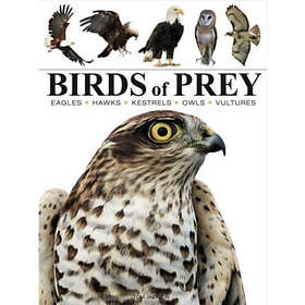 Birds of Prey (häftad, eng)