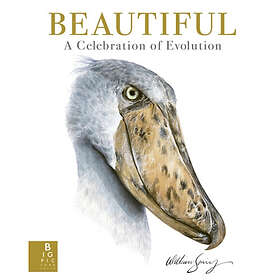 Beautiful (inbunden, eng)