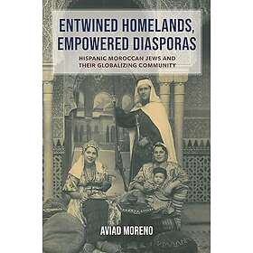 Entwined Homelands, Empowered Diasporas Heftet