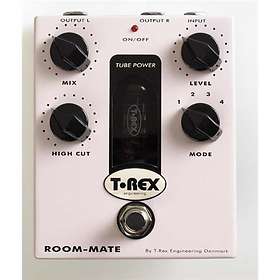 T-Rex Room Mate
