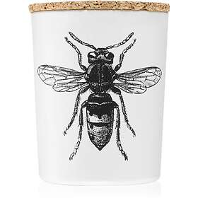 Vila Hermanos Insect Calabrone 75g