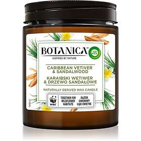 Air Wick Botanica Caribbean Vetiver & Sandalwood 205g