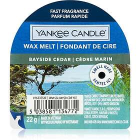 Yankee Candle Bayside Cedar vaxsmältning 22g